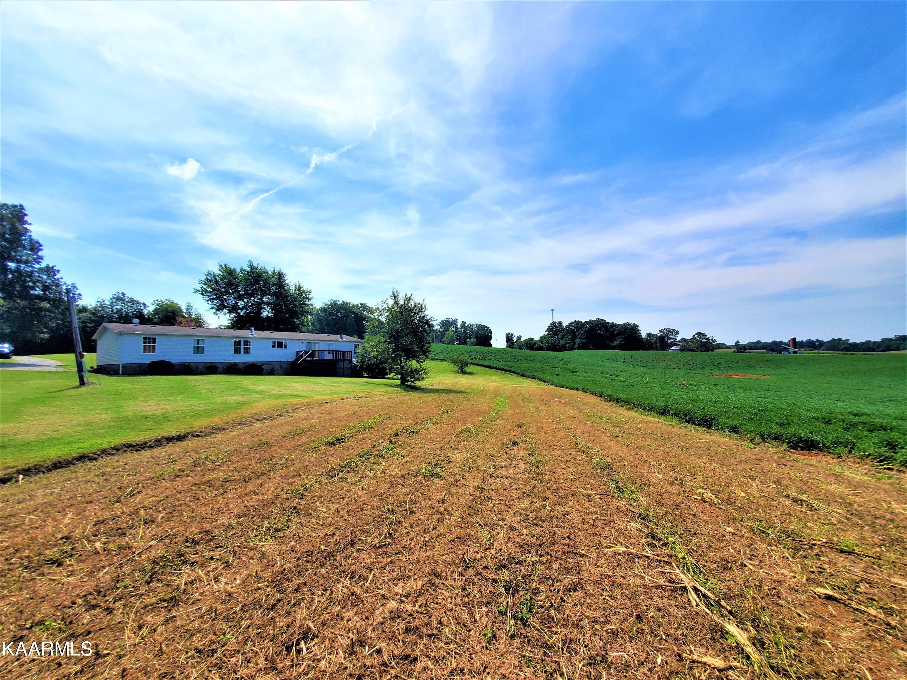 28759 Highway 95 Greenback, TN 37742 - Photo 32 of 34 Back of Home, Land, & Private Garden