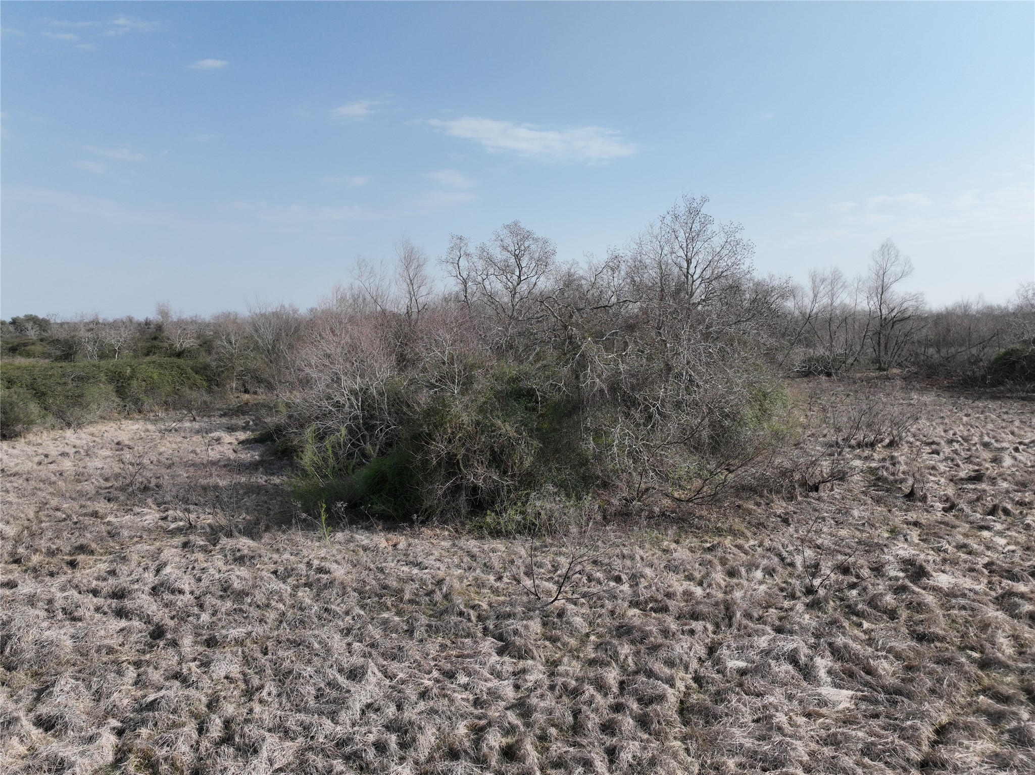 0 Schindler Road Alleyton, TX 78935 - Photo 38 of 39