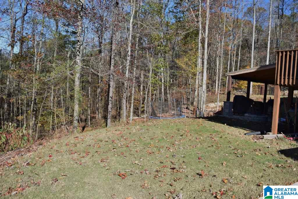 7210 Crown Ridge Drive Trussville, AL 35173 - Photo 35 of 45
