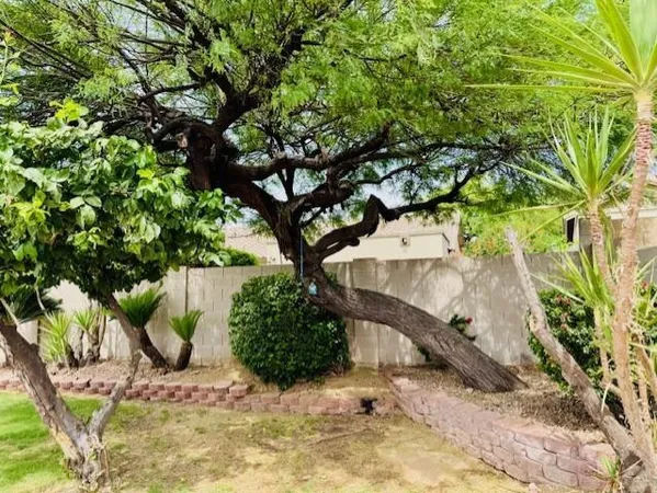 $4,700 | 7798 East Buteo Drive, Scottsdale, AZ 85255