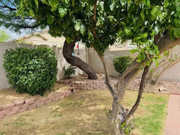 $4,700 | 7798 East Buteo Drive, Scottsdale, AZ 85255