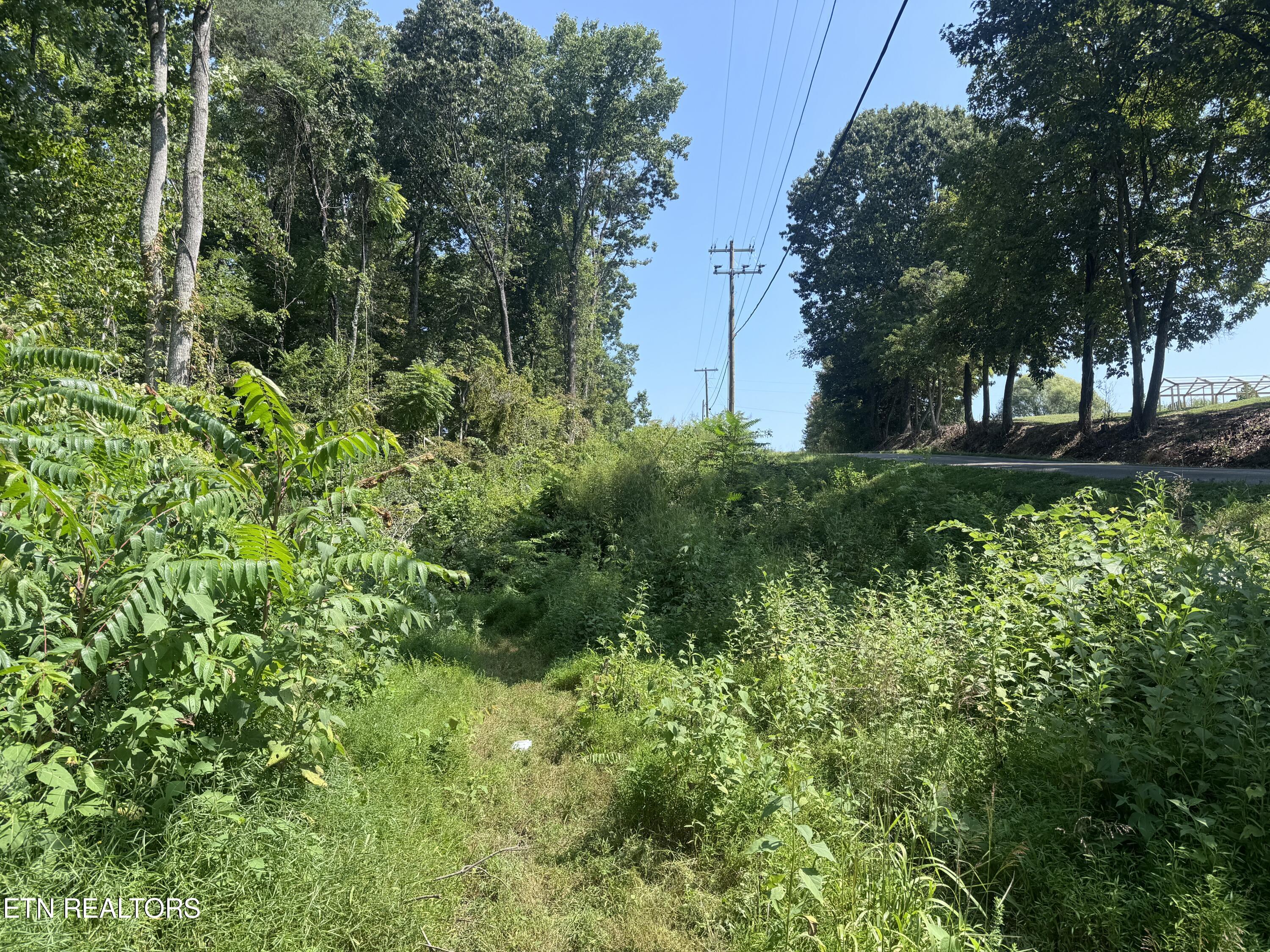 New Corinth Road Rutledge, TN 37861 - Photo 1 of 8 IMG_5441