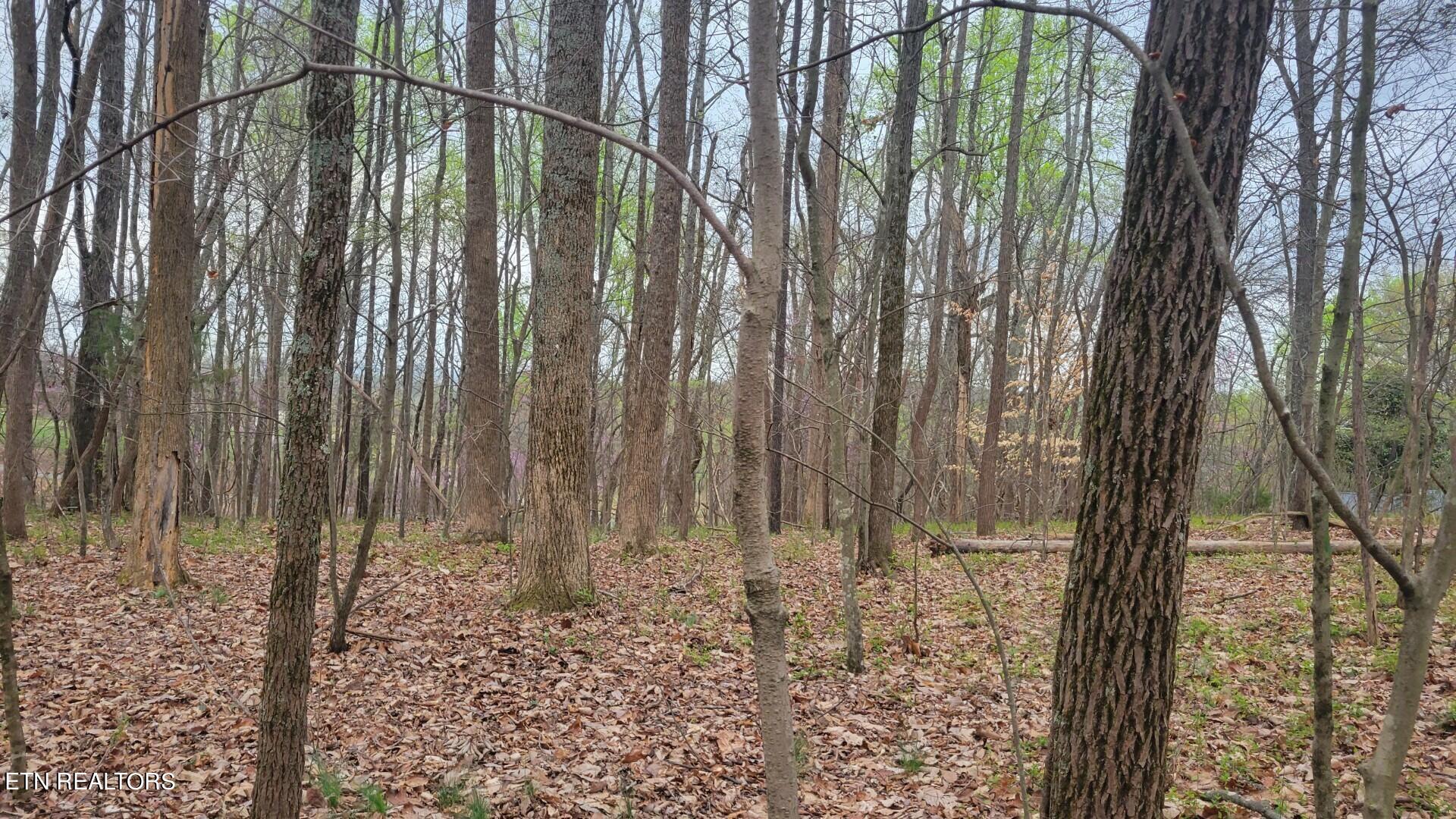 New Corinth Road Rutledge, TN 37861 - Photo 7 of 8 Attachment