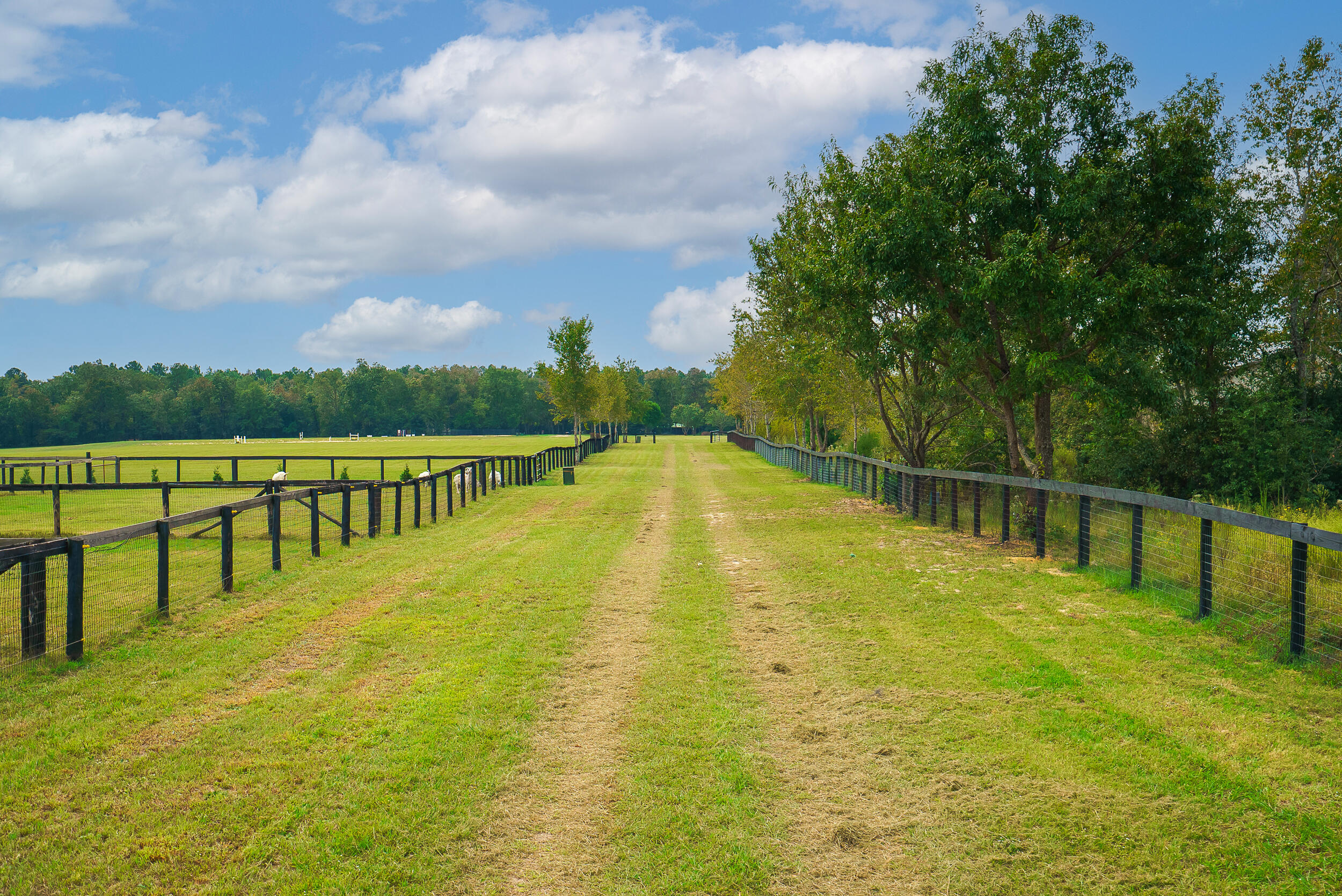 0 Wagener Road Aiken, SC 29805 - Photo 39 of 39