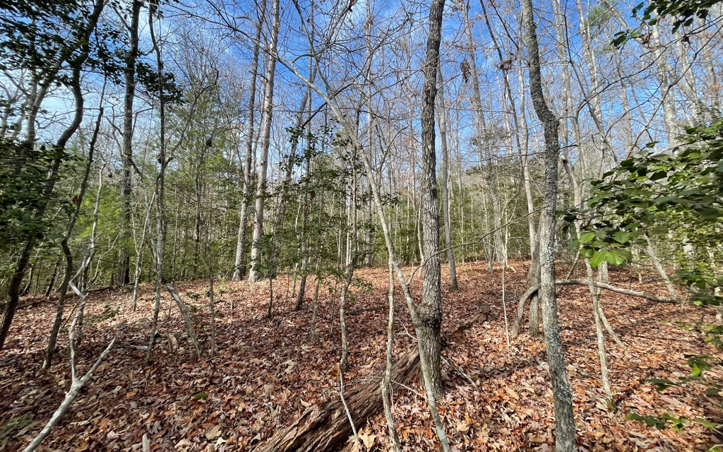 5.9-ac Voylestown Road Morganton, GA 30560 - Photo 1 of 22 Main View