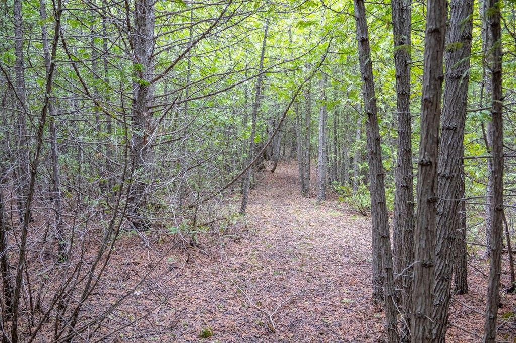 Lot 2 Hill Road Sister Bay, WI 54234 - Photo 14 of 35