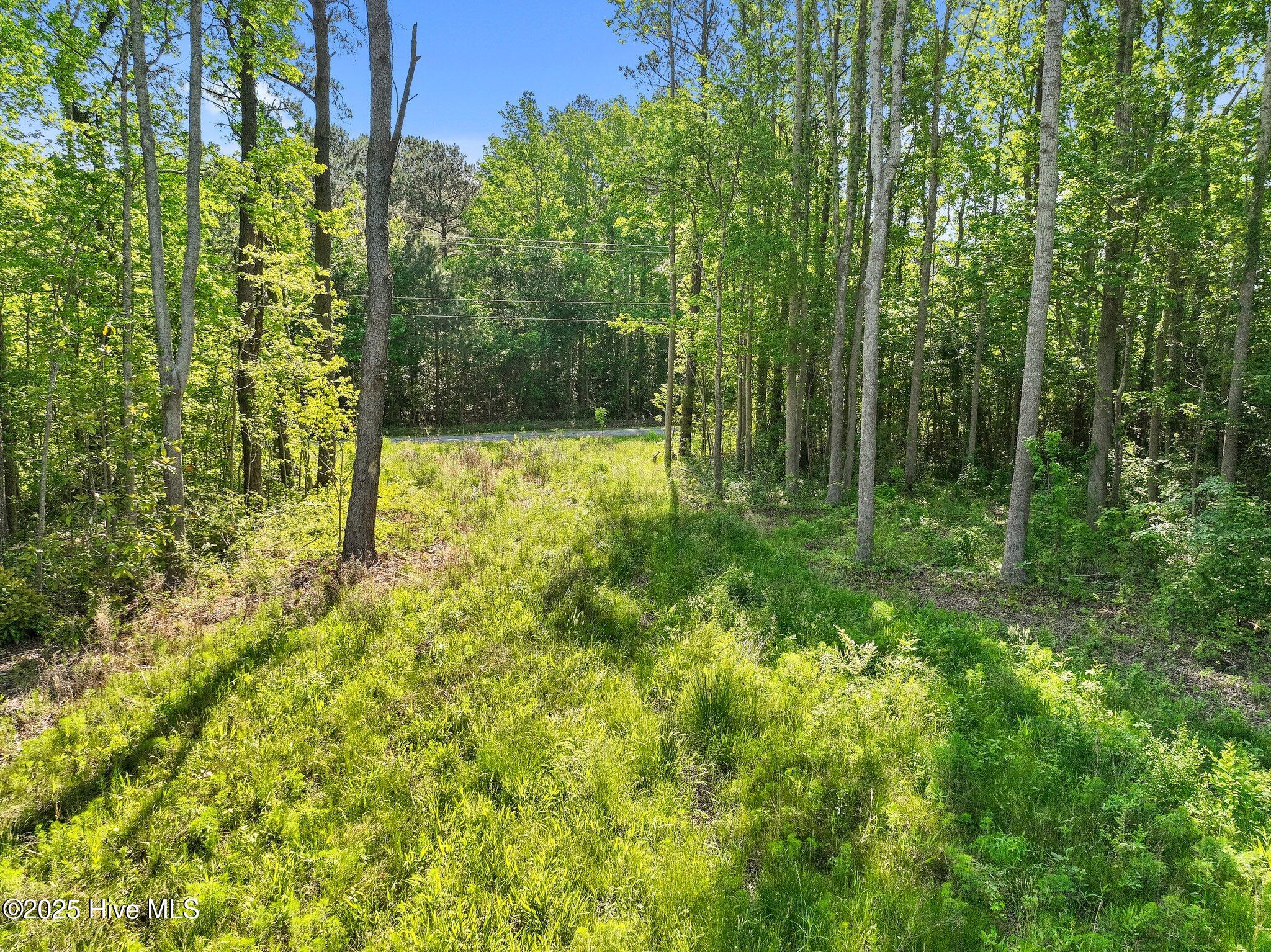 170 Caroon Road Poplar Branch, NC 27965 - Photo 11 of 17 9-web-or-mls-DJI_0840