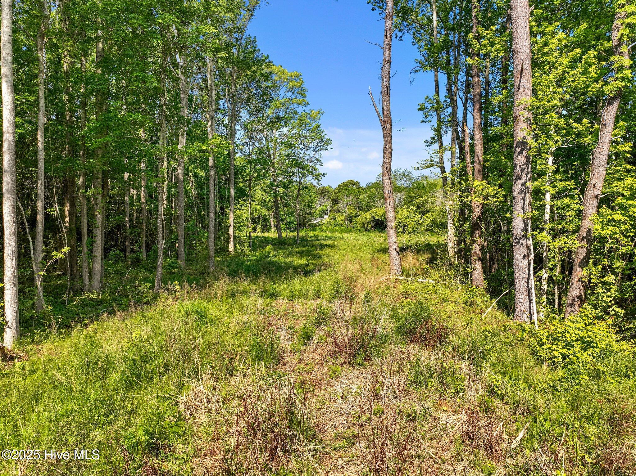 170 Caroon Road Poplar Branch, NC 27965 - Photo 13 of 17 11-web-or-mls-DJI_0842