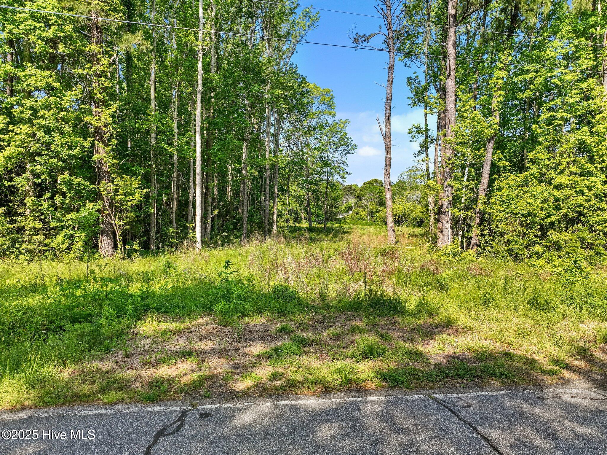 170 Caroon Road Poplar Branch, NC 27965 - Photo 14 of 17 12-web-or-mls-DJI_0843