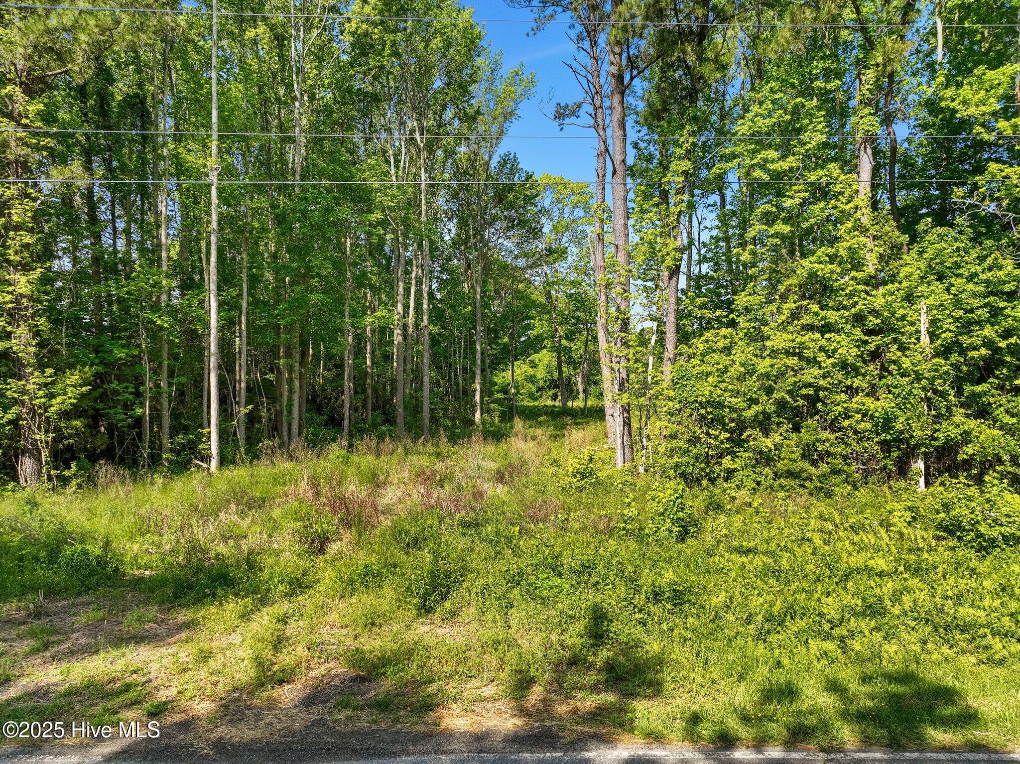 170 Caroon Road Poplar Branch, NC 27965 - Photo 15 of 17 13-web-or-mls-DJI_0844