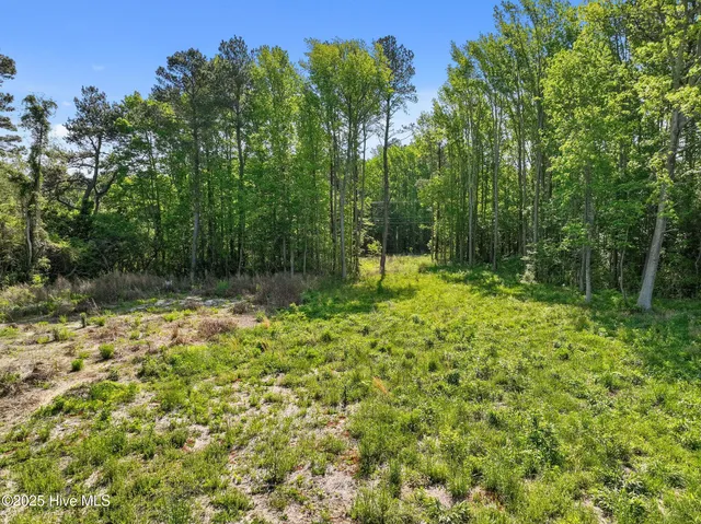 $125,000 | 170 Caroon Road, Poplar Branch, NC 27965