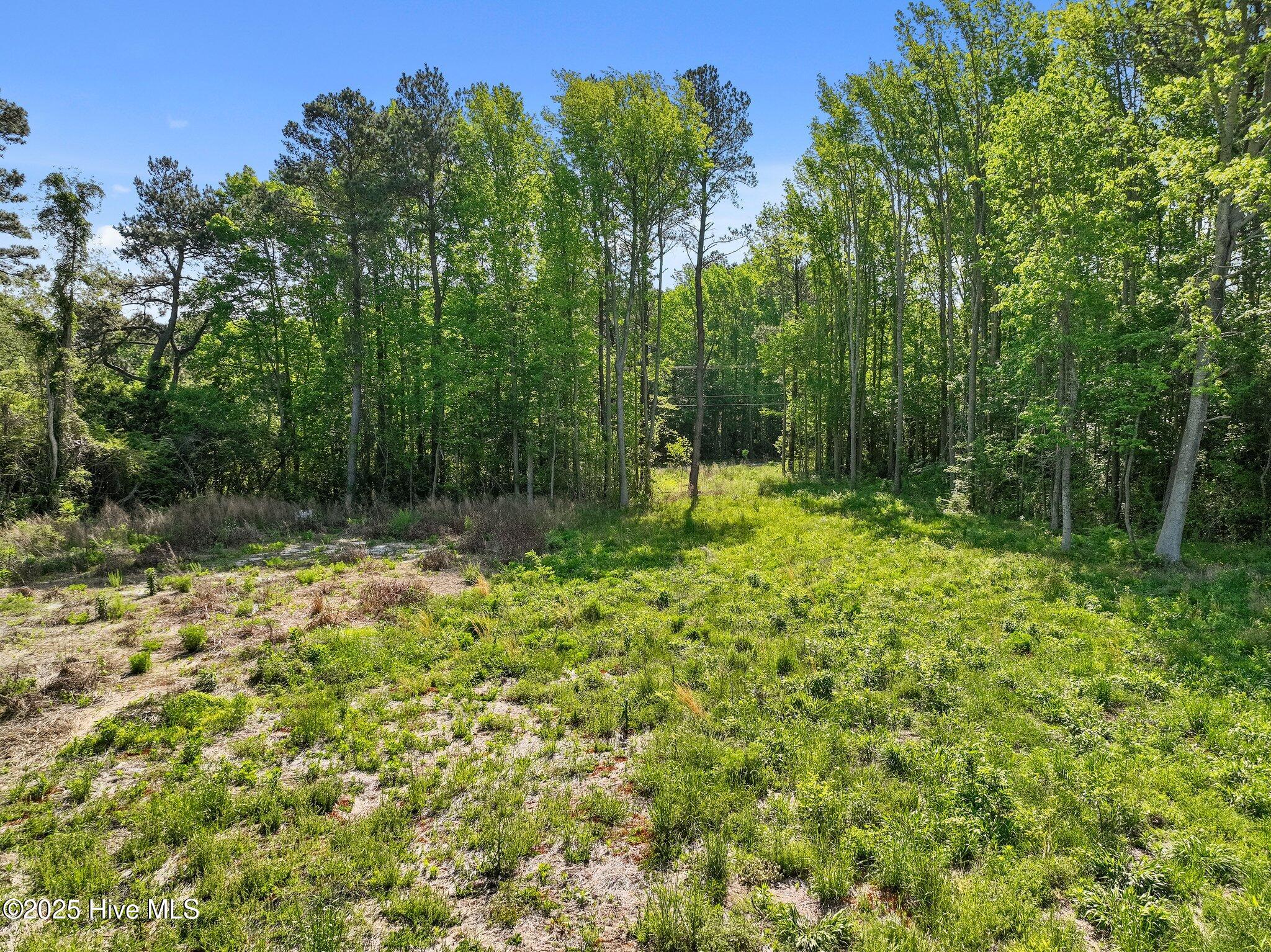 170 Caroon Road Poplar Branch, NC 27965 - Photo 10 of 17 8-web-or-mls-DJI_0839