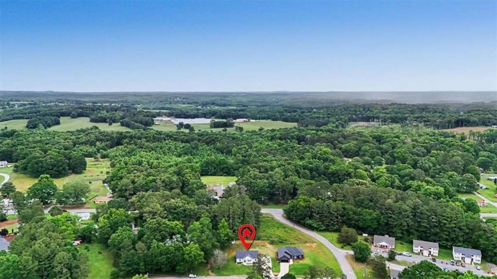 91 Holly Road Bowdon, GA 30108 - Photo 48 of 49