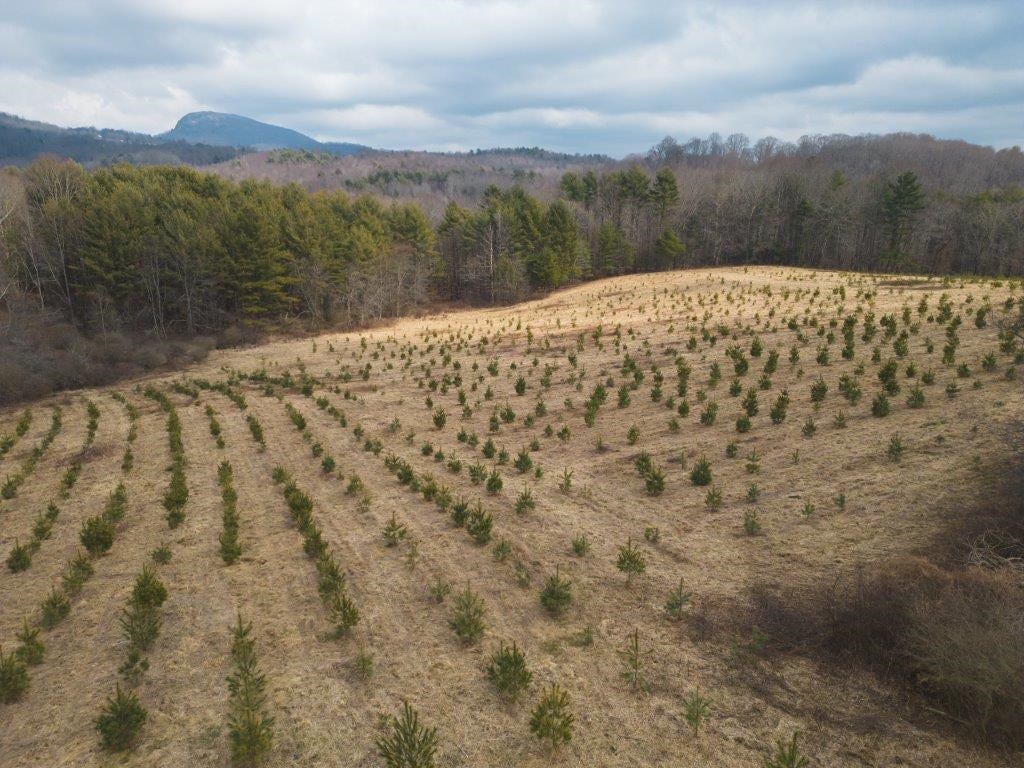 Tbd Long Mountain Road Southwest Willis, VA 24380 - Photo 3 of 66 Gallery Image 3