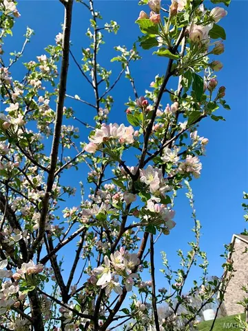 $399,900 | 24613 Shady Oaks Lane, Perry, MO 63462