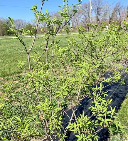 $399,900 | 24613 Shady Oaks Lane, Perry, MO 63462