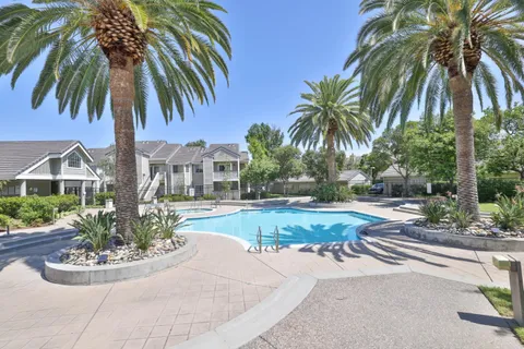 a view of a backyard with palm trees