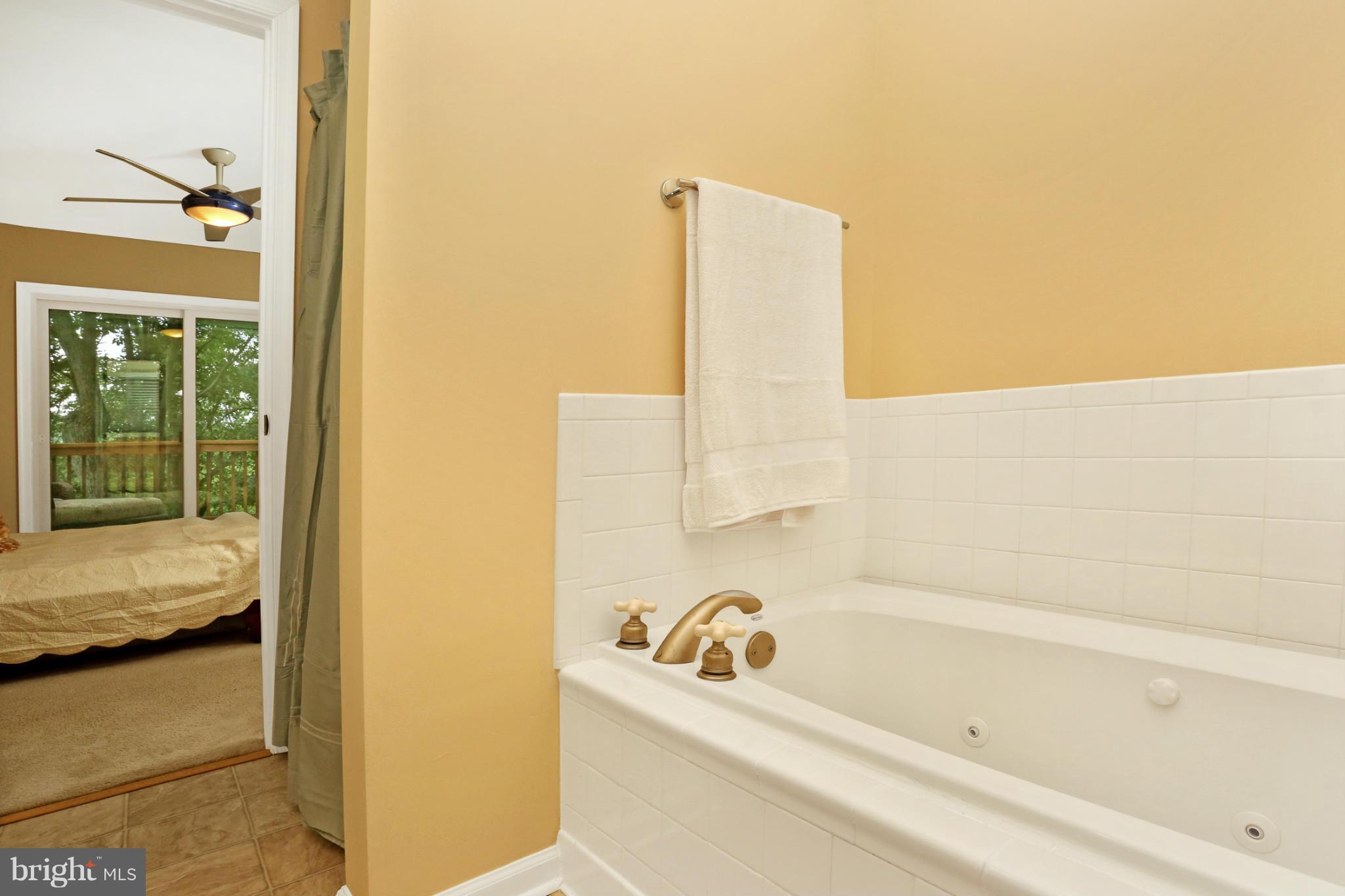 6618 West Lakeridge Road New Market, MD 21774 - Photo 9 of 26 Mstr Bath w/ Jetted Soaking Tub