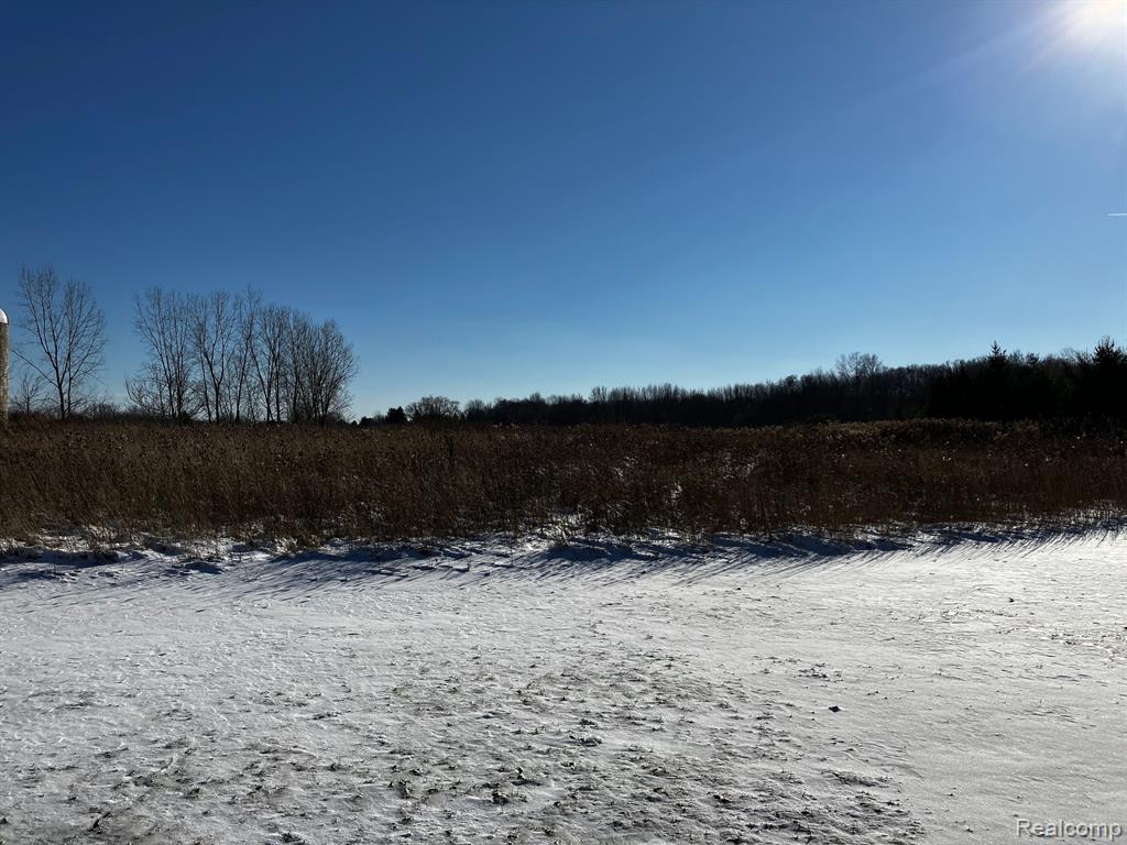 Vac Wiggins Road Howell, MI 48855 - Photo 3 of 4