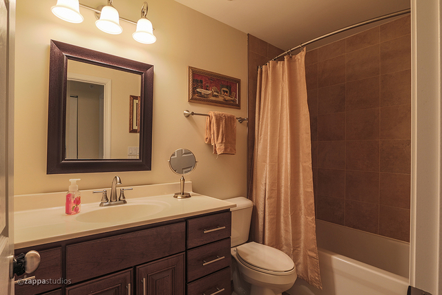 280 Royce Lane Roselle, IL 60172 - Photo 18 of 22