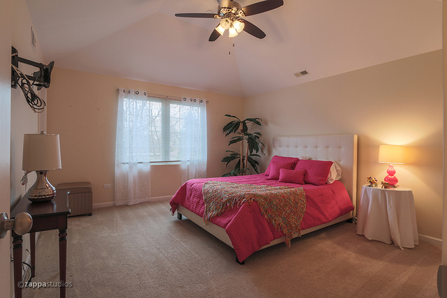 280 Royce Lane Roselle, IL 60172 - Photo 19 of 22