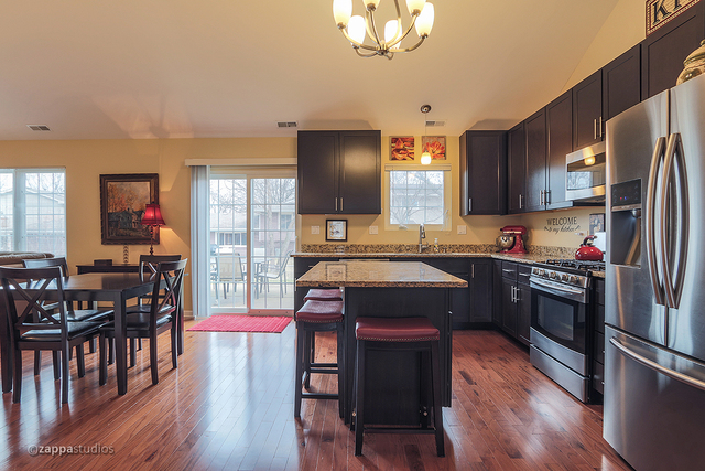 280 Royce Lane Roselle, IL 60172 - Photo 4 of 22