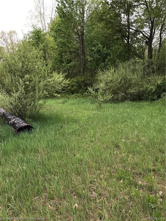 Vl Jones Road North Branch, MI 48461 - Photo 6 of 10 Gallery Image 6