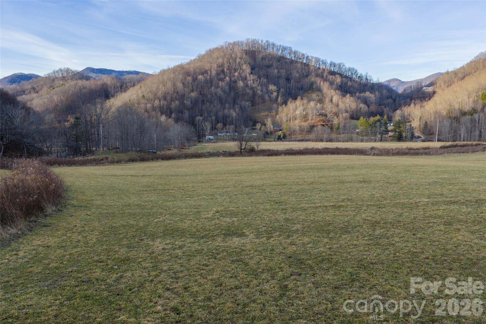 0 Poplar Cove Road Clyde, NC 28721 - Photo 11 of 16