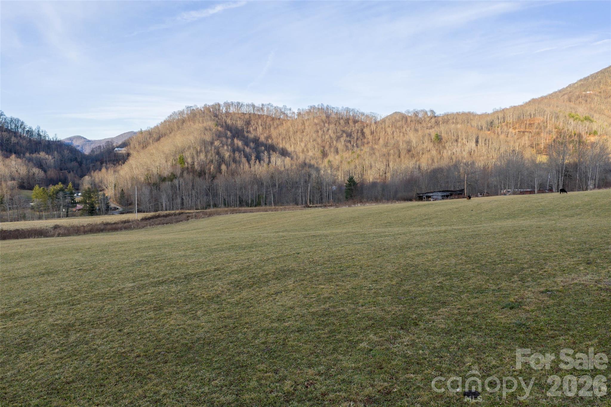0 Poplar Cove Road Clyde, NC 28721 - Photo 12 of 16 a view of an outdoor space with mountain view