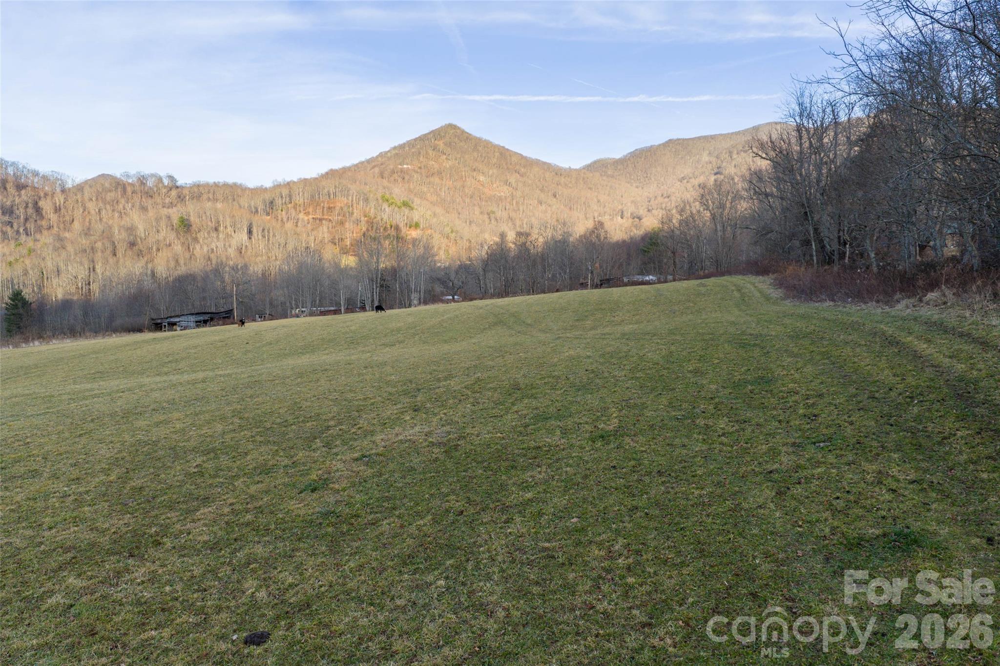 0 Poplar Cove Road Clyde, NC 28721 - Photo 13 of 16 a view of an outdoor space and mountain view
