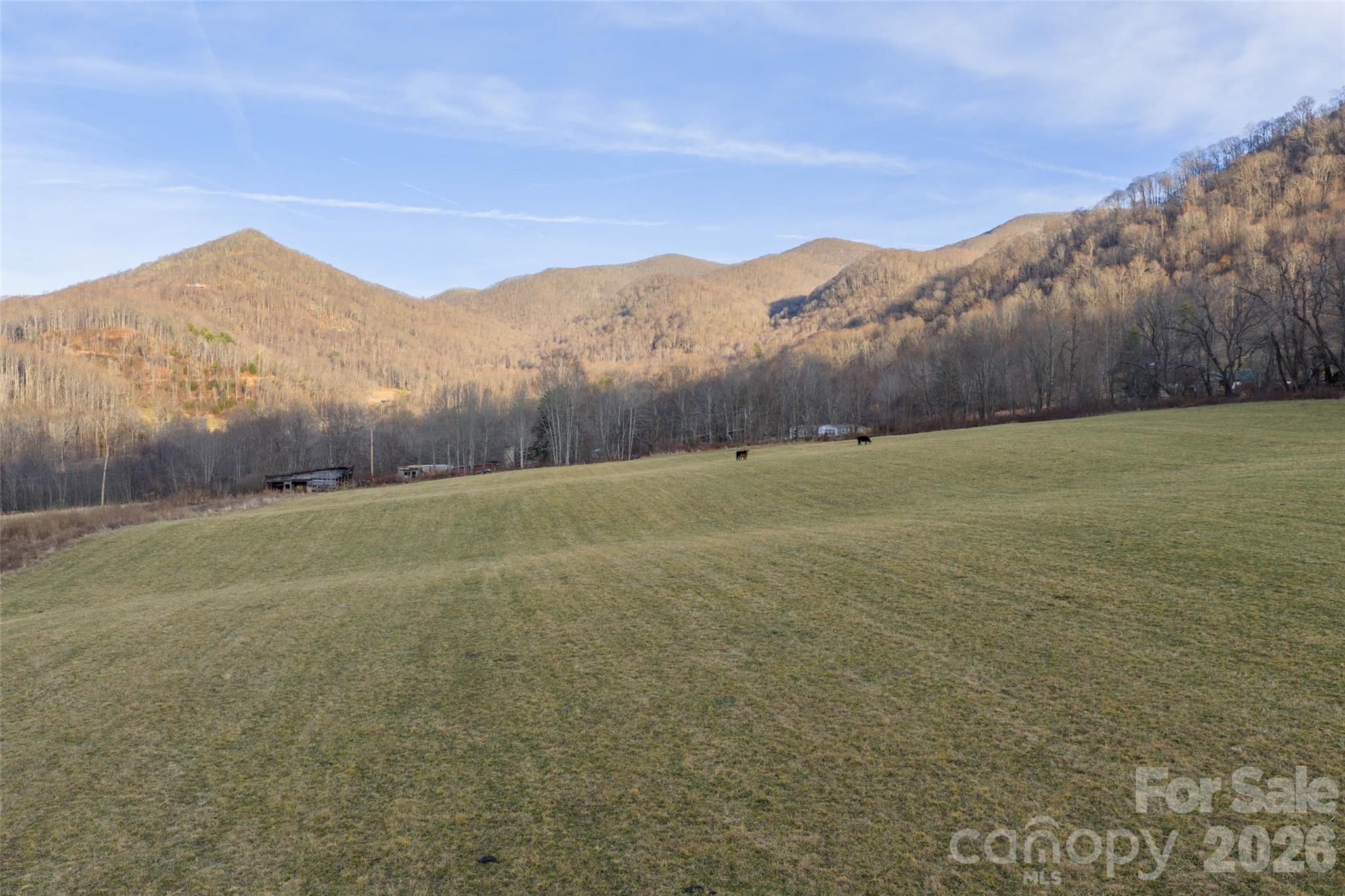 0 Poplar Cove Road Clyde, NC 28721 - Photo 14 of 16 a view of an mountain