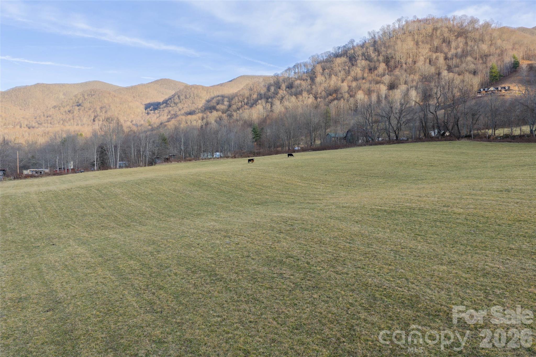 0 Poplar Cove Road Clyde, NC 28721 - Photo 15 of 16 a view of yard with mountain