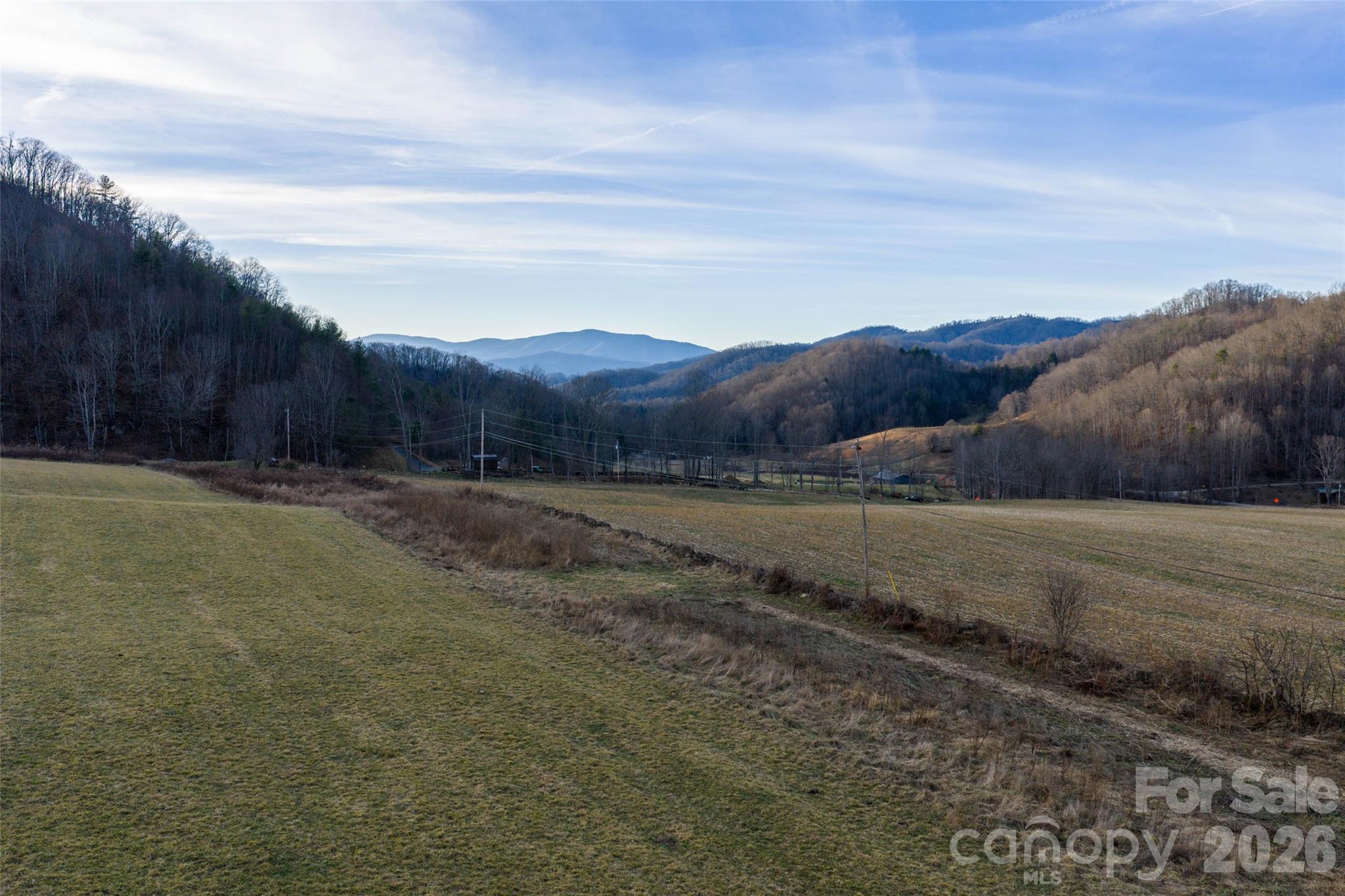 0 Poplar Cove Road Clyde, NC 28721 - Photo 5 of 16 a view of a yard with mountain view