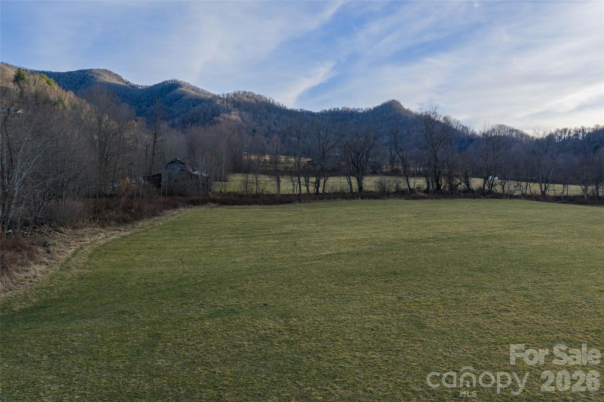 0 Poplar Cove Road Clyde, NC 28721 - Photo 7 of 16 a view of a yard with a sink