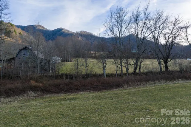 a view of a big yard