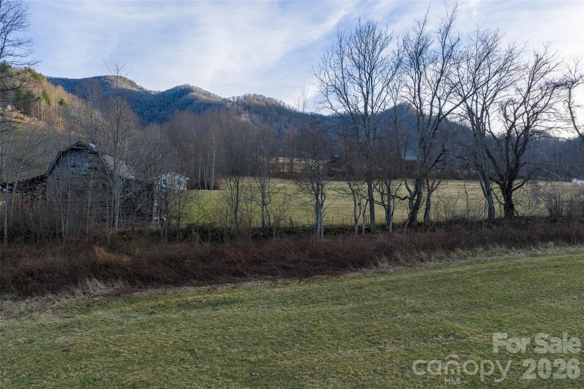 0 Poplar Cove Road Clyde, NC 28721 - Photo 8 of 16 a view of a yard