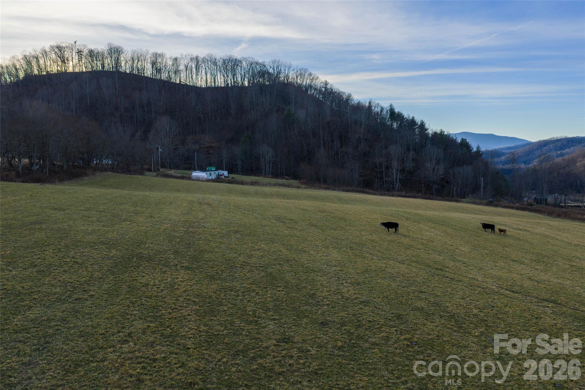 0 Poplar Cove Road Clyde, NC 28721 - Photo 9 of 16 a view of a big yard