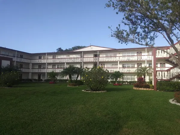 a view of a big room with a big yard and plants