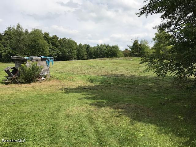 1335 Savoy Road Windsor, MA 01270 - Photo 15 of 23 a backyard of a house with lots of green space