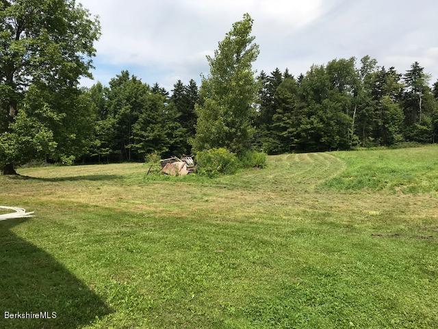 1335 Savoy Road Windsor, MA 01270 - Photo 16 of 23 a view of outdoor space and yard