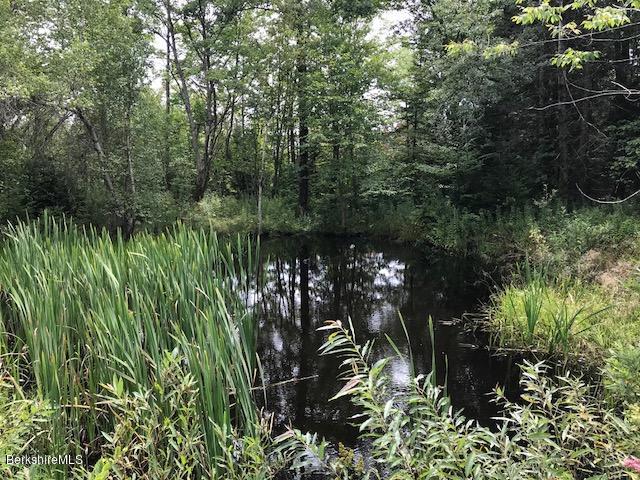 1335 Savoy Road Windsor, MA 01270 - Photo 18 of 23 a view of a garden