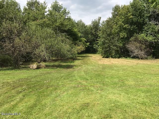 1335 Savoy Road Windsor, MA 01270 - Photo 19 of 23 a view of a yard with a tree