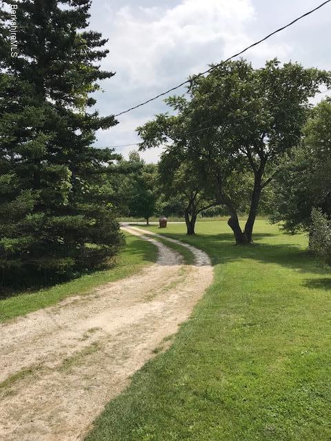 1335 Savoy Road Windsor, MA 01270 - Photo 3 of 23 a view of yard with green space