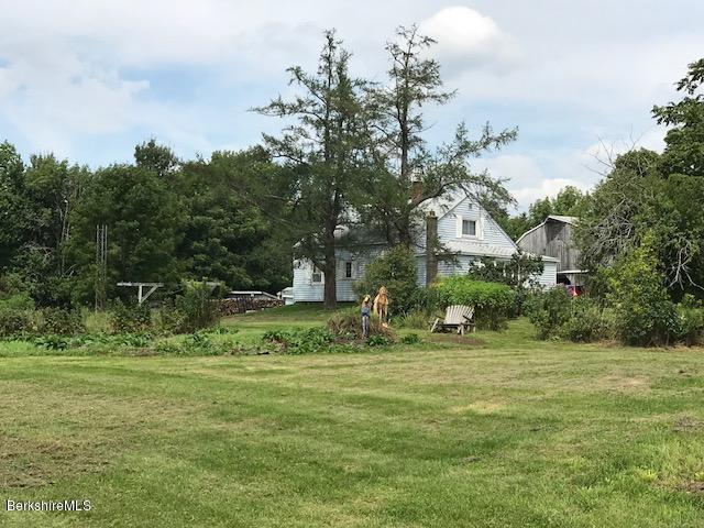 1335 Savoy Road Windsor, MA 01270 - Photo 5 of 23 a view of a tree in a yard