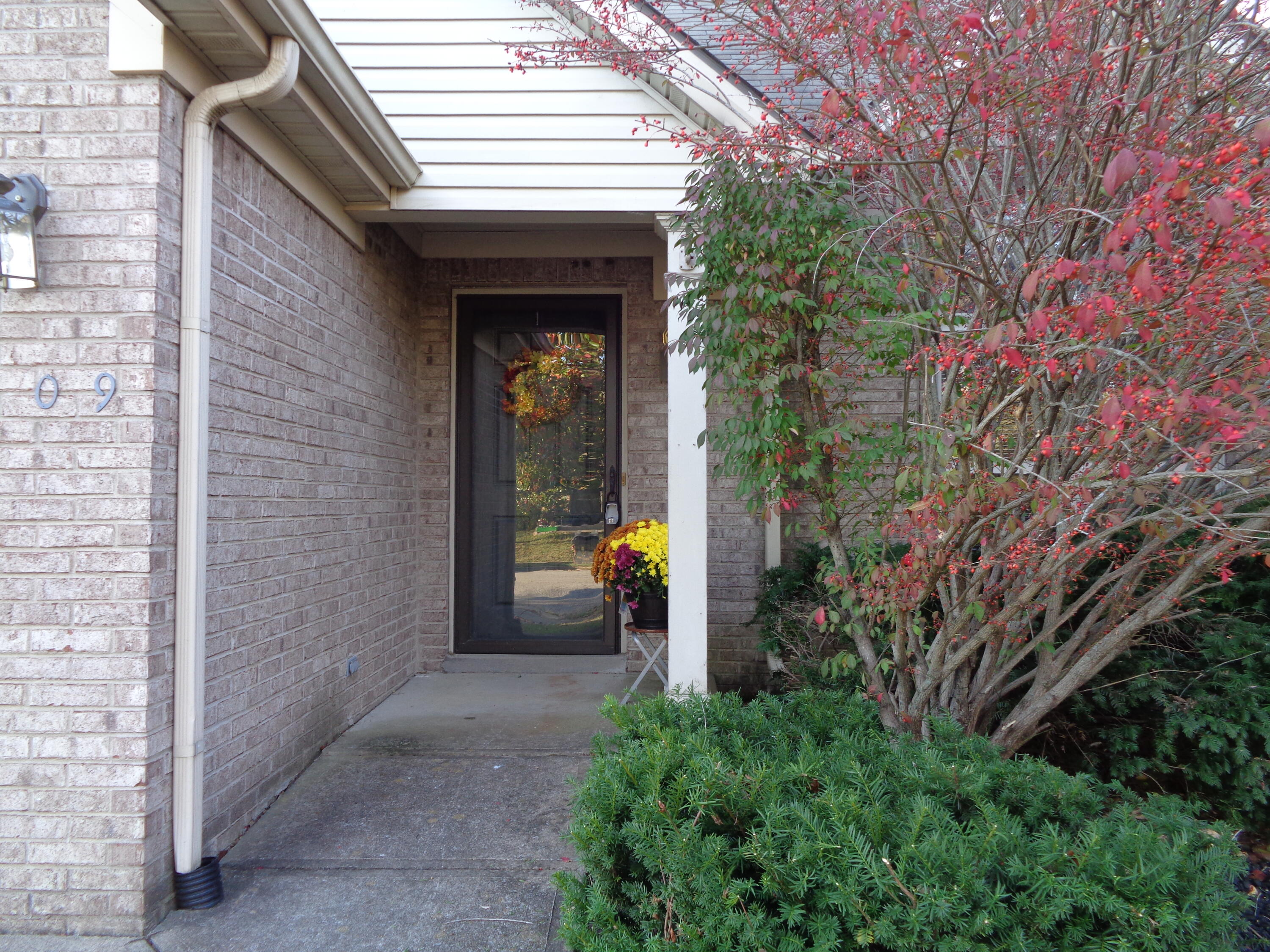 109 Ridgebrook Drive Nicholasville, KY 40356 - Photo 23 of 23 DSC01613