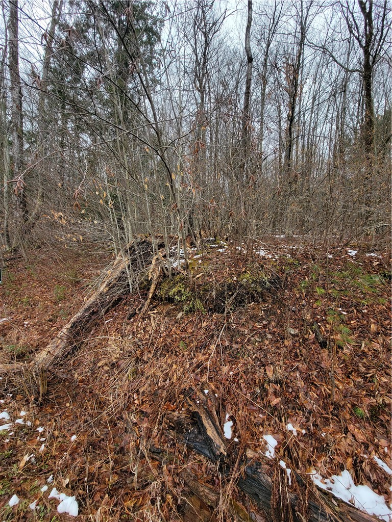 0 Schlafer Road Bainbridge, NY 13733 - Photo 12 of 19