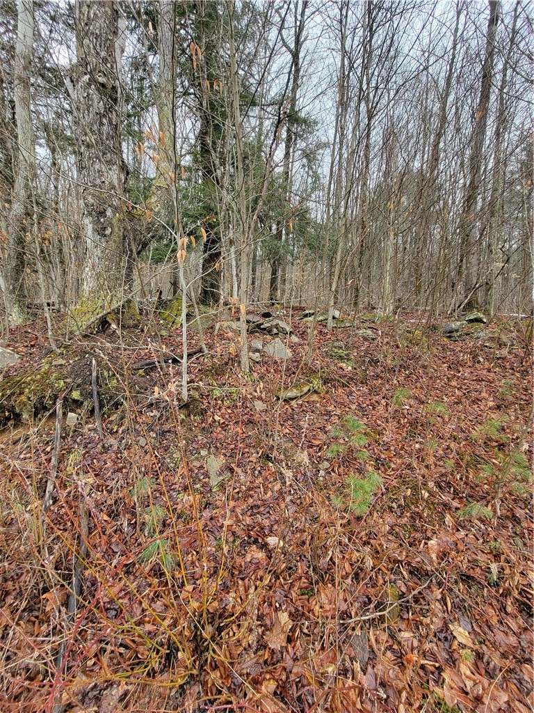 0 Schlafer Road Bainbridge, NY 13733 - Photo 13 of 19