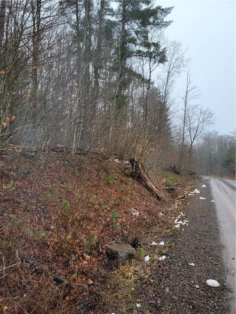 0 Schlafer Road Bainbridge, NY 13733 - Photo 15 of 19