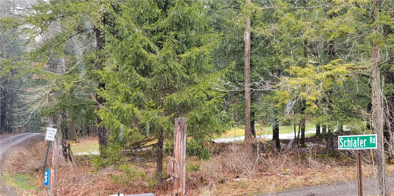 0 Schlafer Road Bainbridge, NY 13733 - Photo 18 of 19