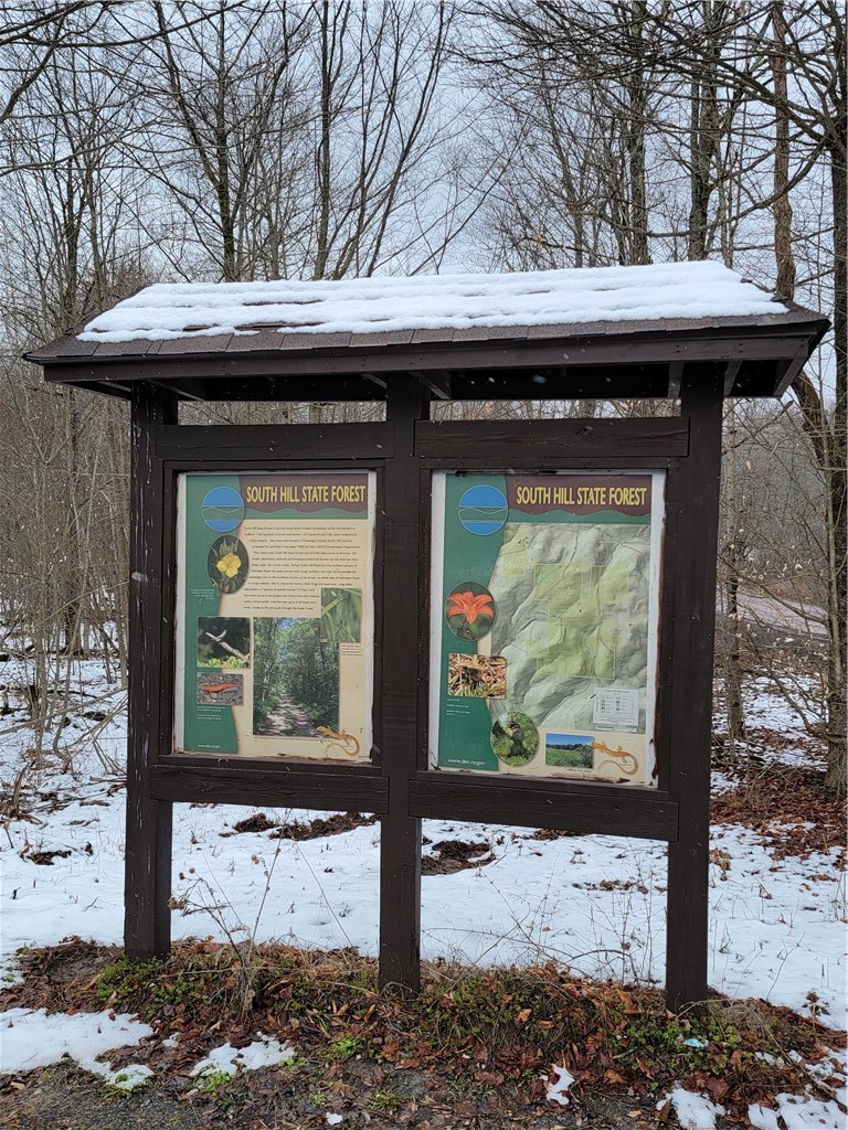 0 Schlafer Road Bainbridge, NY 13733 - Photo 19 of 19